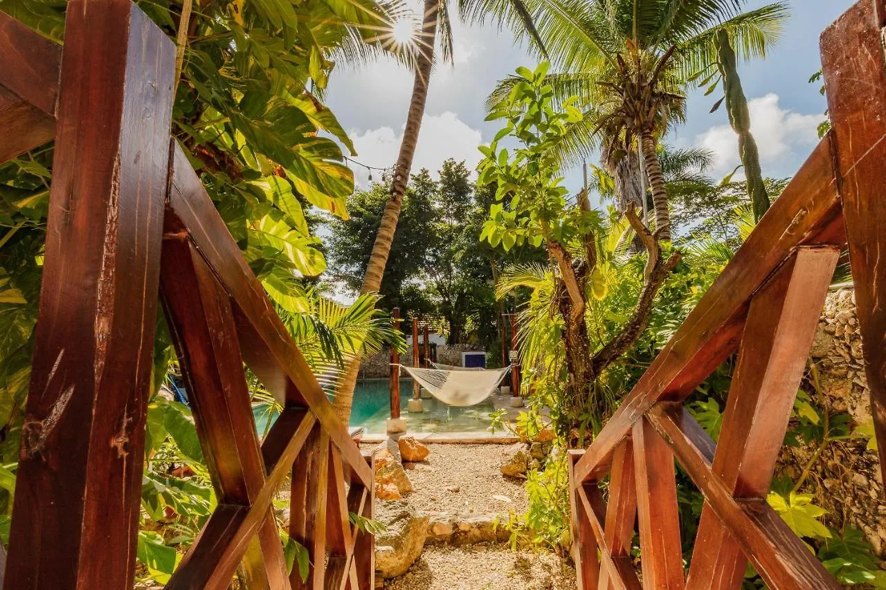 Gasthof Che Nomadas Merida Hostel Adults Only
