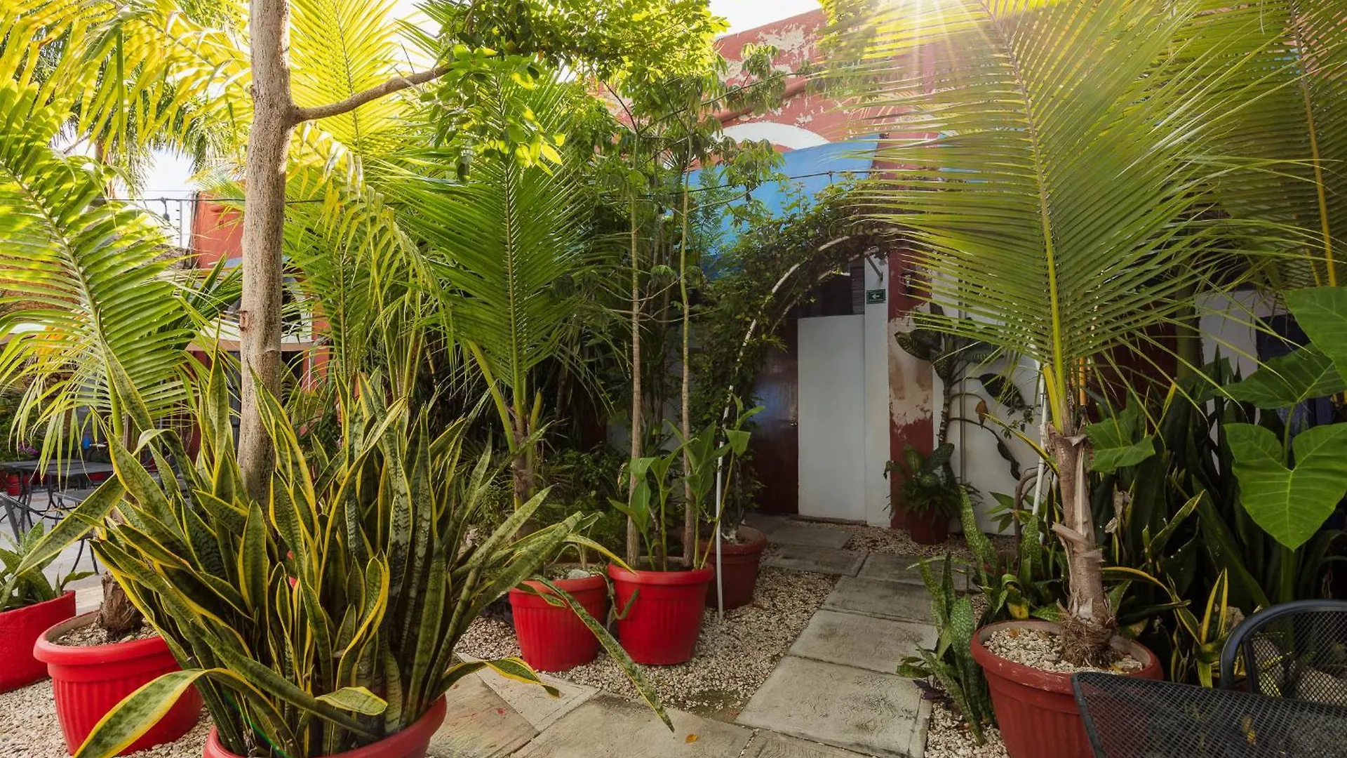 Che Nomadas Merida Hostel Adults Only Guest house
